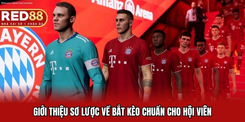 Giới thiệu sơ lược về bắt kèo chuẩn cho hội viên