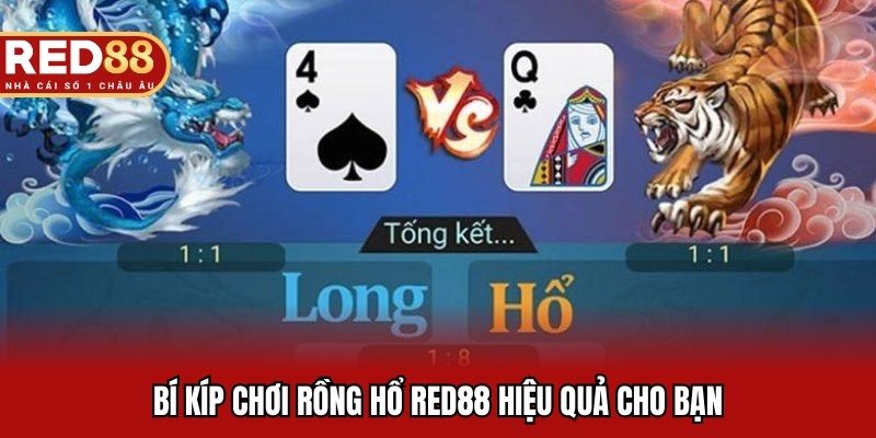 Bí kíp chơi rồng hổ RED88 hiệu quả cho bạn