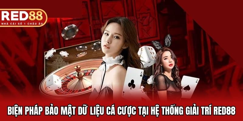 Biện pháp bảo mật dữ liệu cá cược tại hệ thống giải trí Red88