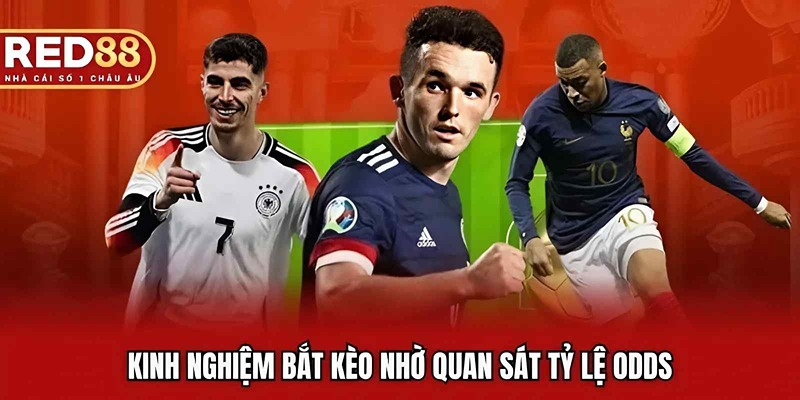 Kinh nghiệm bắt kèo nhờ quan sát tỷ lệ odds