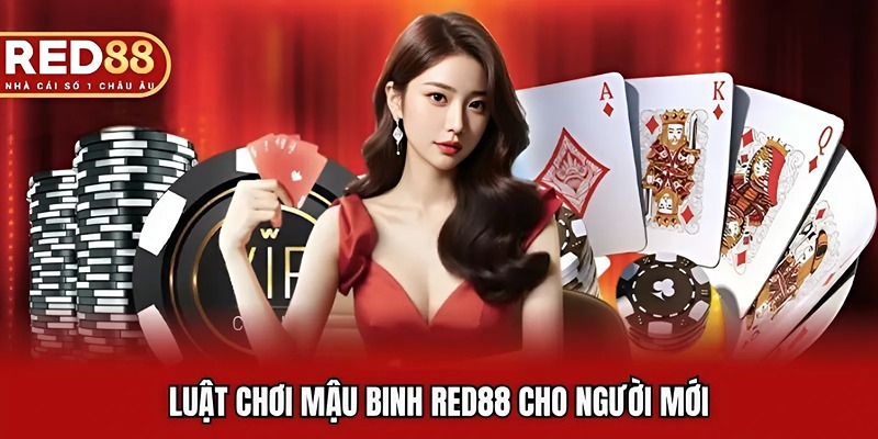 Luật mậu binh RED88 cho người mới tham khảo