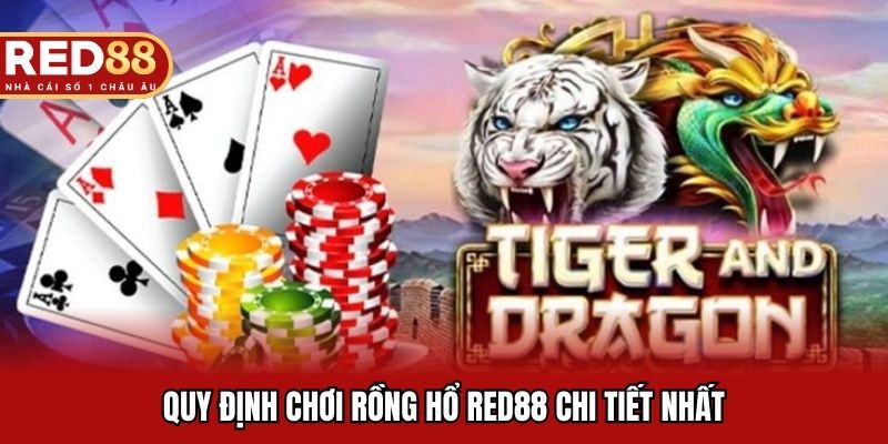 Quy định chơi rồng hổ RED88 chi tiết nhất