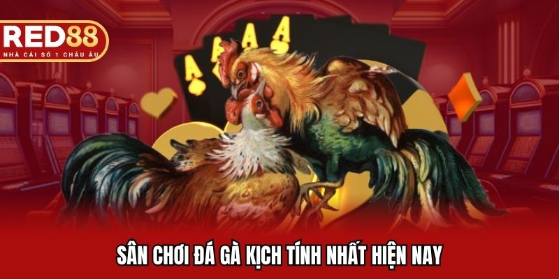 Sân chơi đá gà kịch tính nhất hiện nay