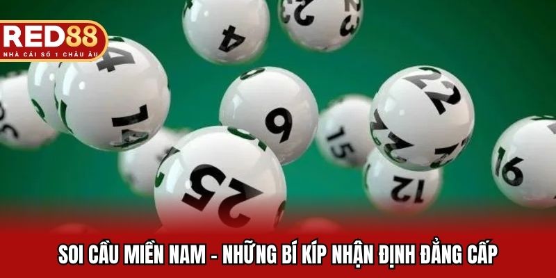 Soi Cầu Miền Nam