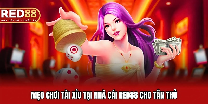 Mẹo chơi tài xỉu tại nhà cái RED88 cho tân thủ